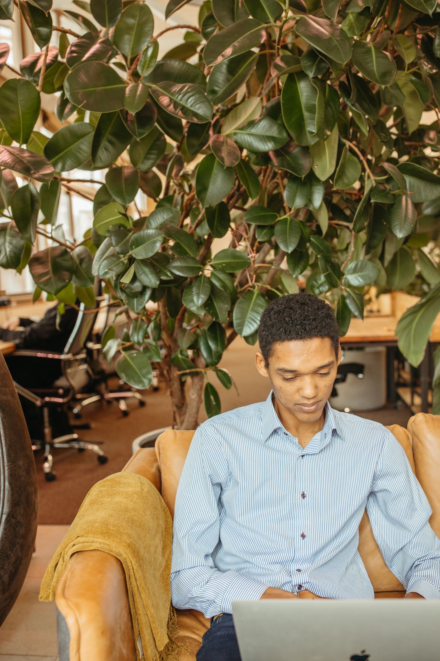 A founder working at a laptop in a modern office